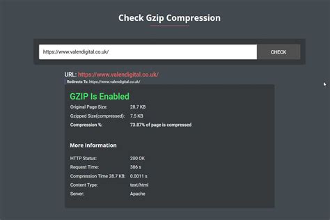 website gzip compression test